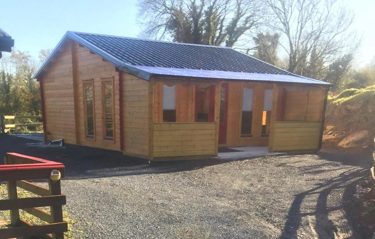 Red Robin Nest Apartment Galway